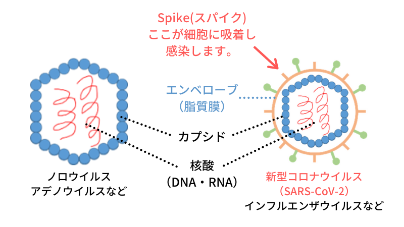 おすすめのクリーニングサービス一覧 クリーニングのスワローチェーン